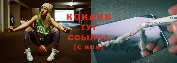 СК Гусев