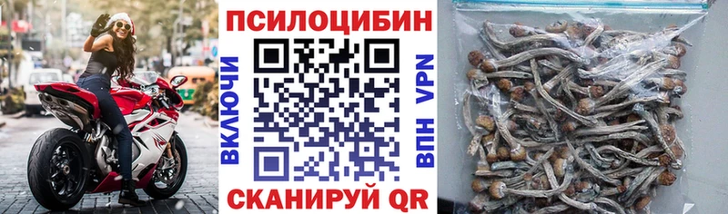 Галлюциногенные грибы Cubensis Боровск